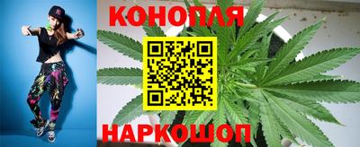 крисы Ливны