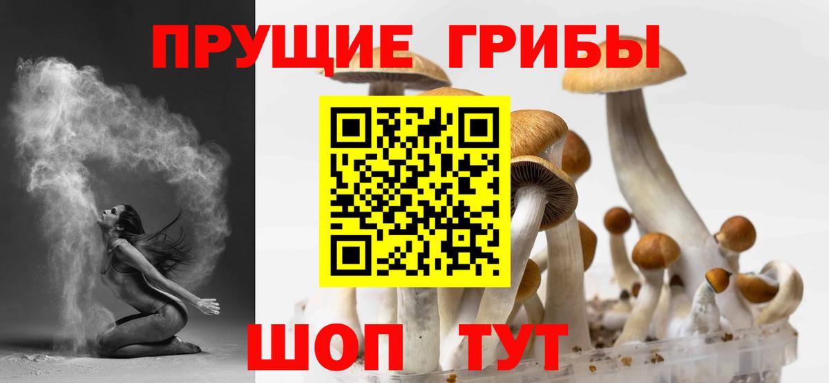 Гай  Галлюциногенные грибы ЛСД  продажа наркотиков  Вход с VPN 