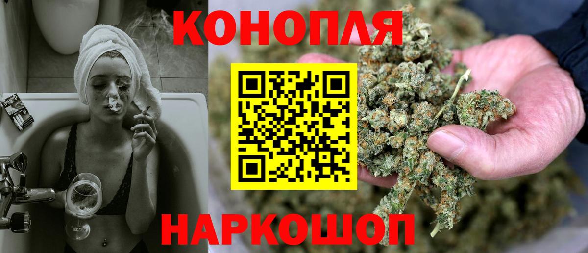Канабис ГИДРОПОН Гай